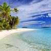 jackonanisland - @jackonanisland - TikTok