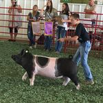 Jack Opheim - @jackopheim - Instagram
