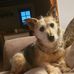 Jackie Orme - Facebook