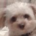 Jack Orndorff - Facebook