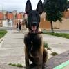 Jack Orozco86 - @jackorozcof - TikTok