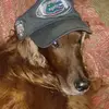 Jack Orr - @jack.orr1 - TikTok