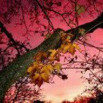 Jennifer Overbeck - @jenniferjackanoverbeck - Instagram
