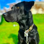 jack parish - @jackparish48 - Instagram