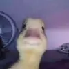 Jack Parry - @kermitmemes23 - TikTok