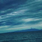 jack paulin - @paulintes - Instagram