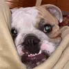 JacksonPayne_ - @jacksonpayne_ - TikTok