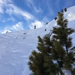 Jack Pearse - @jack.pearse1 - Instagram