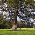 ʞɔɐſ - @jack.pelham - Instagram