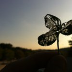 Jack Pellington - @jackpellington - Instagram