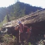 Jack Pelletier - @jack.pelletier.984 - Instagram