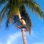 jack pelor - @jack_pelor - Instagram