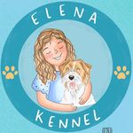 Jack Russell pelo duro y pelo liso - @jack_russell_elena_kennel - Instagram