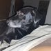 Jack Pena - Facebook