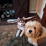 Jack Pender - @pender5696 - Instagram
