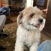 Jack Pender - Facebook