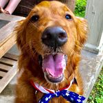 Jack Penner - @tennessee_jack - Instagram