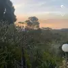 perko - @jack.perko - TikTok