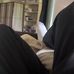Jack Perlman - Facebook