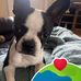 Jack Perrault - Facebook