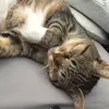 jack.perron - @jack.perron - TikTok