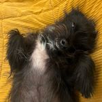 Jack es Perrow - @jack_es_perrow - Instagram