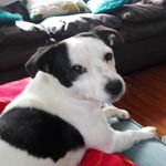 Jack - @jack_company_perrow_gatow - Instagram