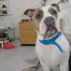 Jack Messiniti Pesce - @jacksito.14 - TikTok