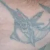 Jack u pesce - @jackupesce - TikTok