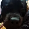 jackpesterev - @jackpesterev - TikTok