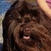 Jack Petree - Facebook