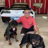jackpetrella77 - @jackpetrella77 - TikTok