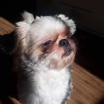 @jack_petti - Instagram