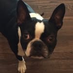 Jack Pettit - @jack_pettit_ - Instagram