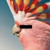Jack Pettit - @jack.pettit17 - TikTok