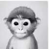 jack pettit - @jack.pettit - TikTok