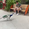 Jack Pettit - @jack.pettit11 - TikTok