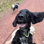 @jack.pettitt00 - Instagram