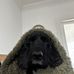 Jack Pettitt - Facebook