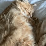 Jack Pew - @jpew08 - Instagram