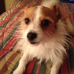 Jack Pew - @jack.pew.980 - Instagram
