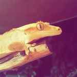 Jack Peyton Whitehouse - @jack_peyton_whitehouse - Instagram