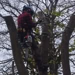 jack Pheasant - @jack_pheasant - Instagram