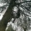 Jack pheasant - @jack.pheasant - TikTok