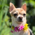 @jack.piccoloprincipe - Instagram