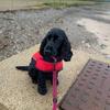 jackpickerill - @jack.pickerill - TikTok
