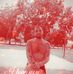 Jack Piercefield - Facebook