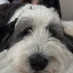 Jack Pietak - @jack.pietak - Instagram