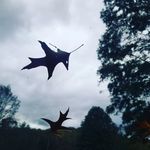 jackpifer - @pifer.jack - Instagram