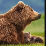 Jack Piller - @jack_the_bear14 - Instagram